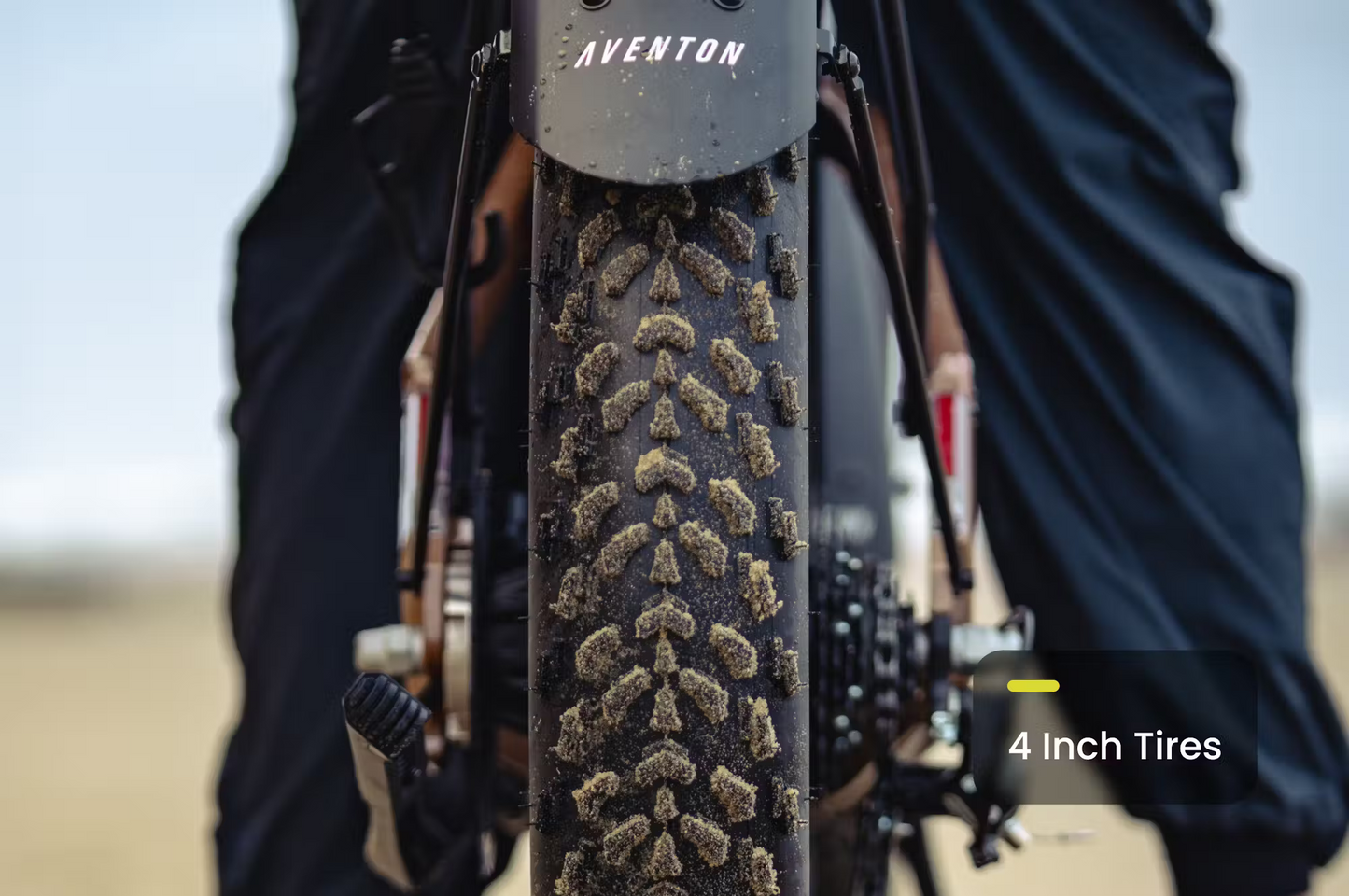 Rex E-Bikes Aventon Aventure.3 Step-Through E-Bike